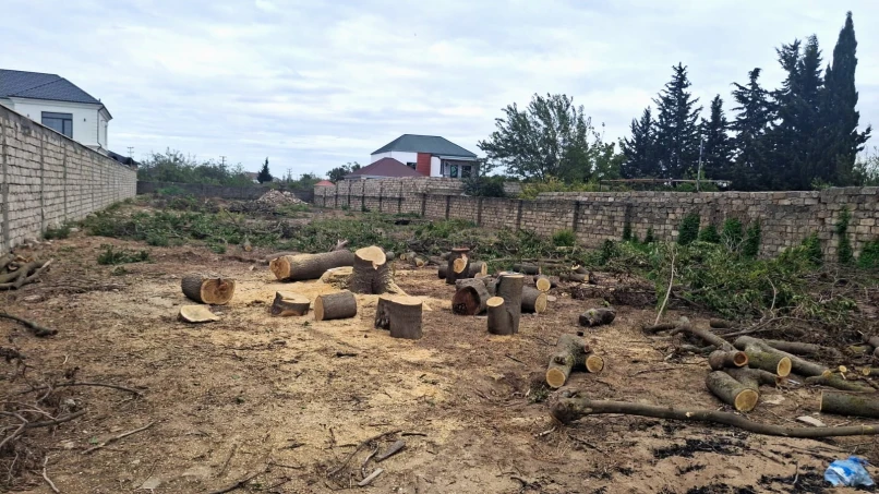 Satılır torpaq sahəsi 19 sot,  Sabunçu-1