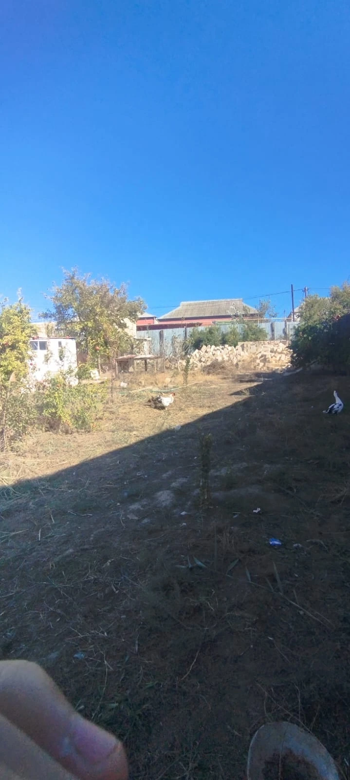 Satılır torpaq sahəsi8 sot, Avtovağzal m.-1
