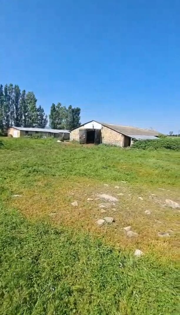 Satılır obyekt 600 m²,  İsmayıllı-1