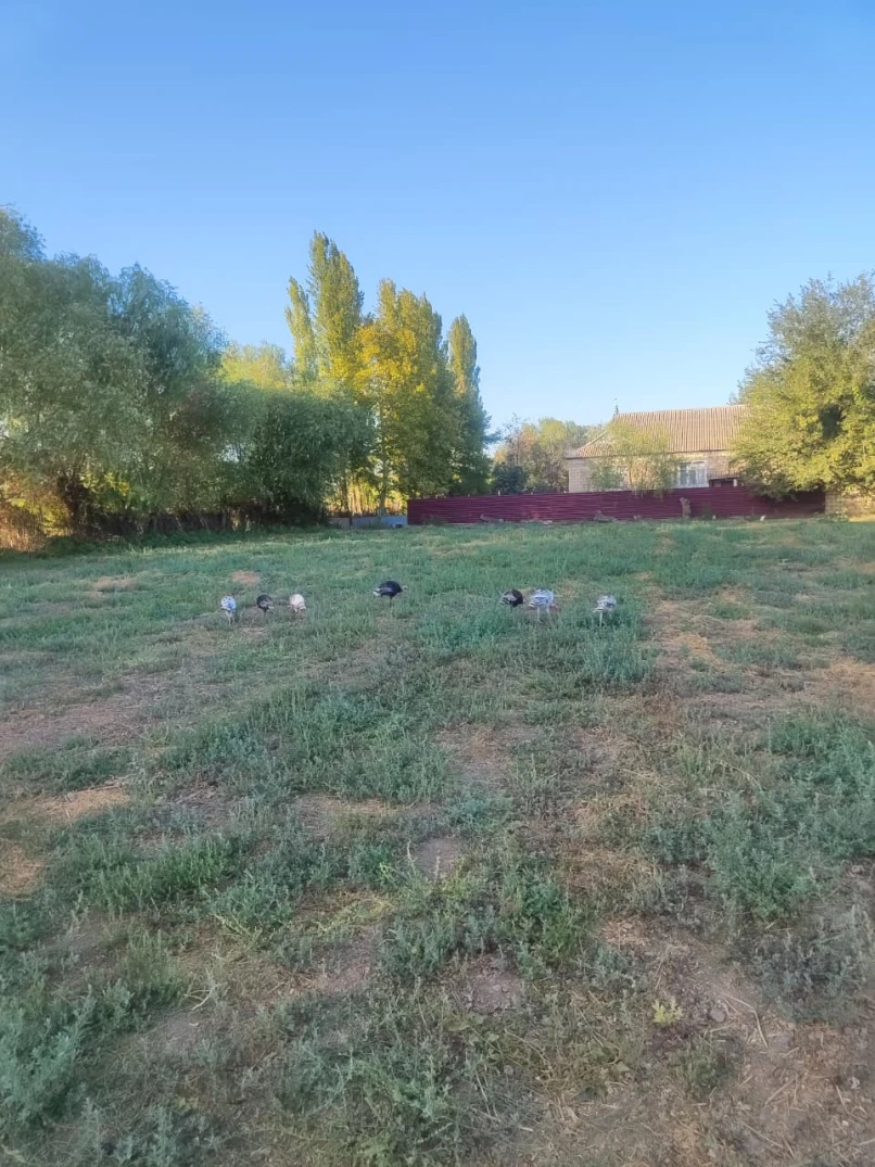 Satılır torpaq sahəsi 24 sot,  Beyləqan-1