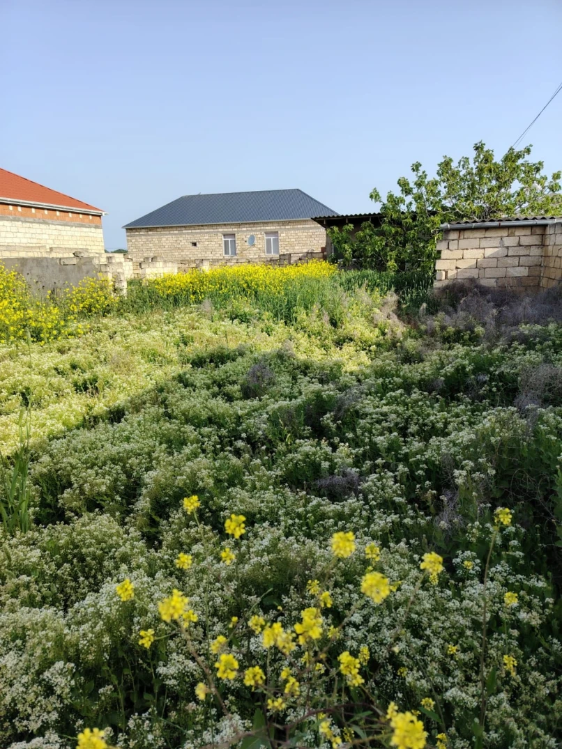 Satılır torpaq sahəsi 4 sot,  Novxanı-1
