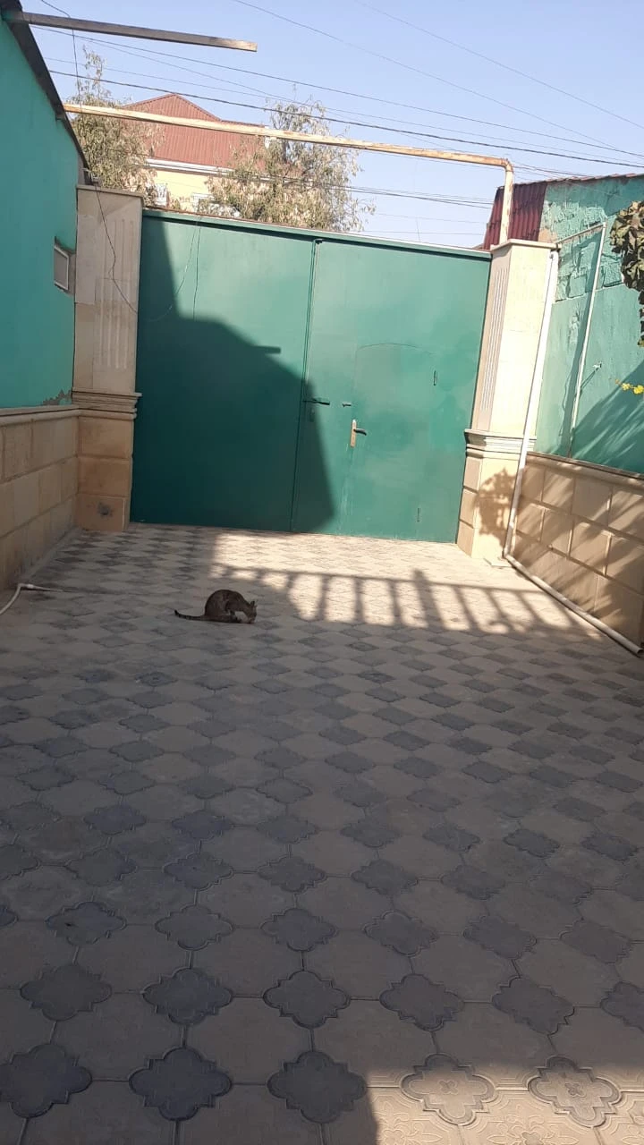 Satılır yeni tikili 4 otaqlı 310 m², Masazır q.-1