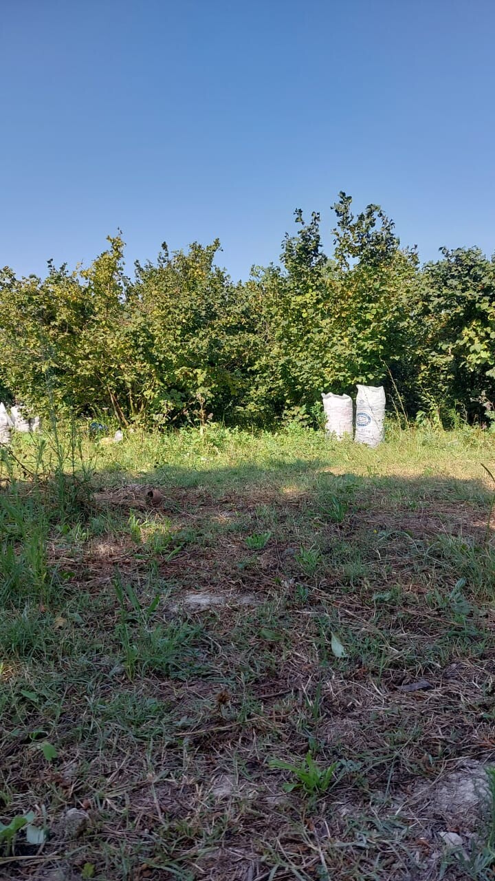 Satılır torpaq sahəsi 25.5 sot,  Şüvəlan-1