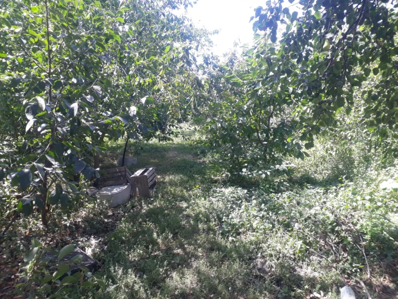 Satılır torpaq sahəsi 14 sot, Quba-1 Satılır torpaq sahəsi 14 sot, Quba-1