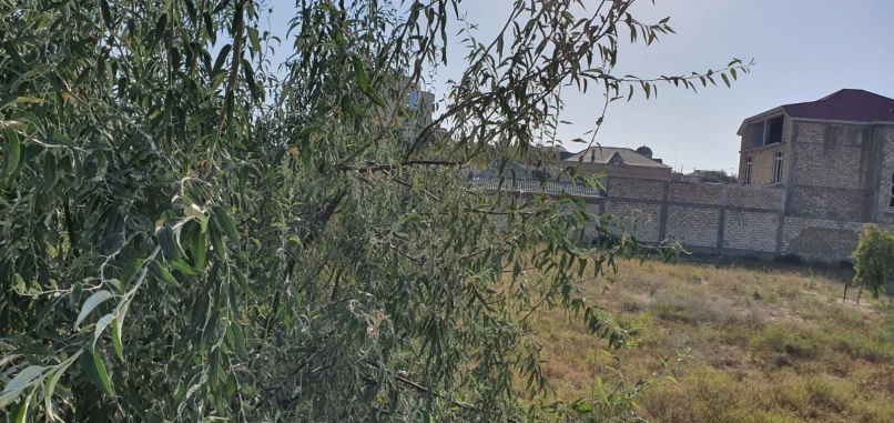 Satılır torpaq sahəsi12 sot, Novxanı q.-1 Satılır torpaq sahəsi12 sot, Novxanı q.-1