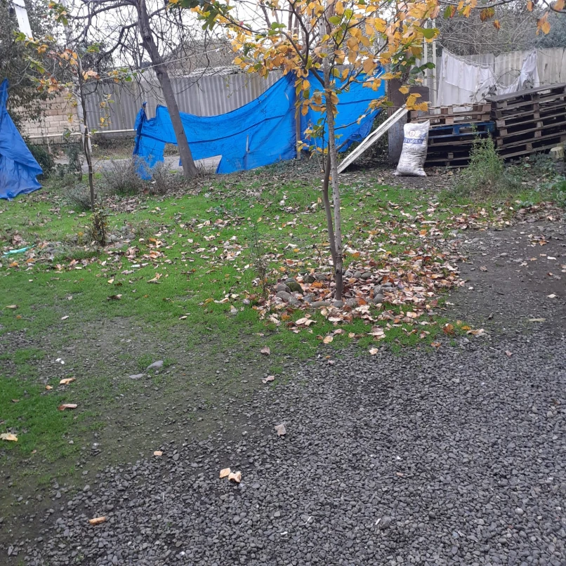 Sale plot of land15 sot, Lankaran-1 Sale plot of land15 sot, Lankaran-1