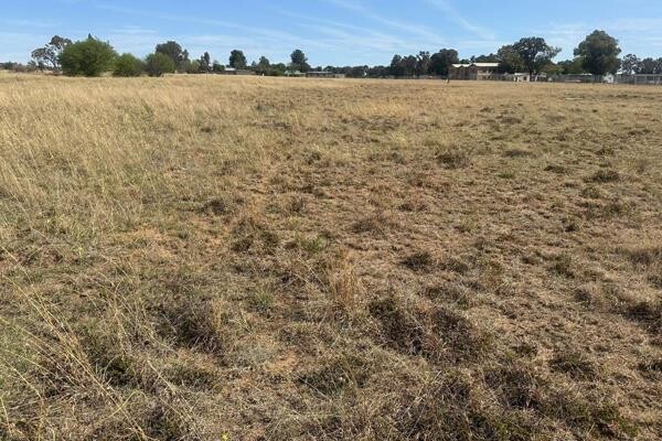 Satılır torpaq sahəsi 100 sot,  Suraxanı-1