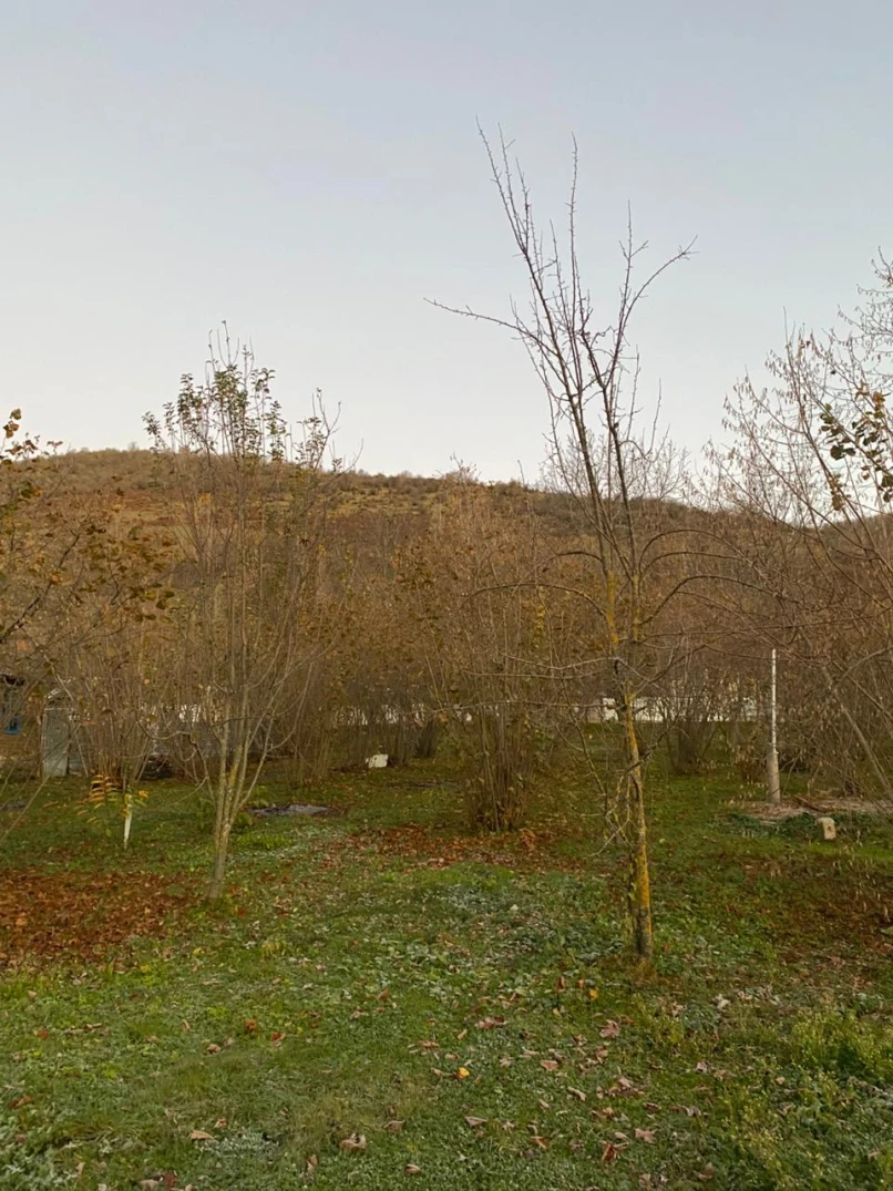 Satılır torpaq sahəsi 7 sot,  Qəbələ-1