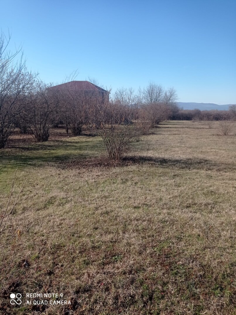 Satılır torpaq sahəsi 15 sot,  Qəbələ-1