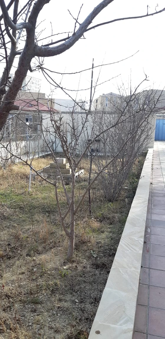 Satılır ev/villa 3 otaqlı 100 m², Badamdar q.-1