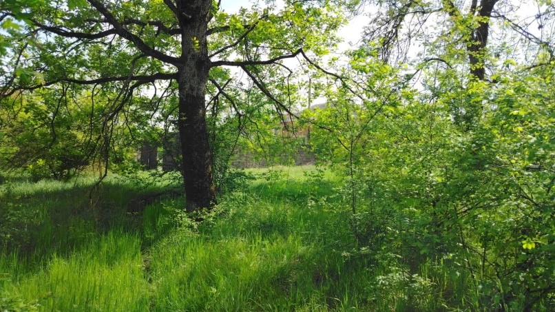 Satılır torpaq sahəsi 27 sot,  Qusar-1