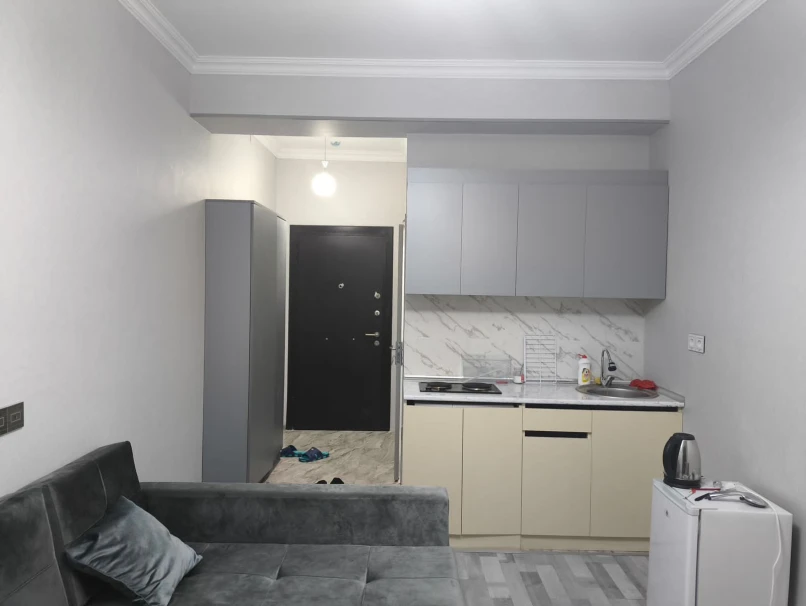 İcarə yeni tikili 1 otaqlı 31 m², Yasamal q.-1