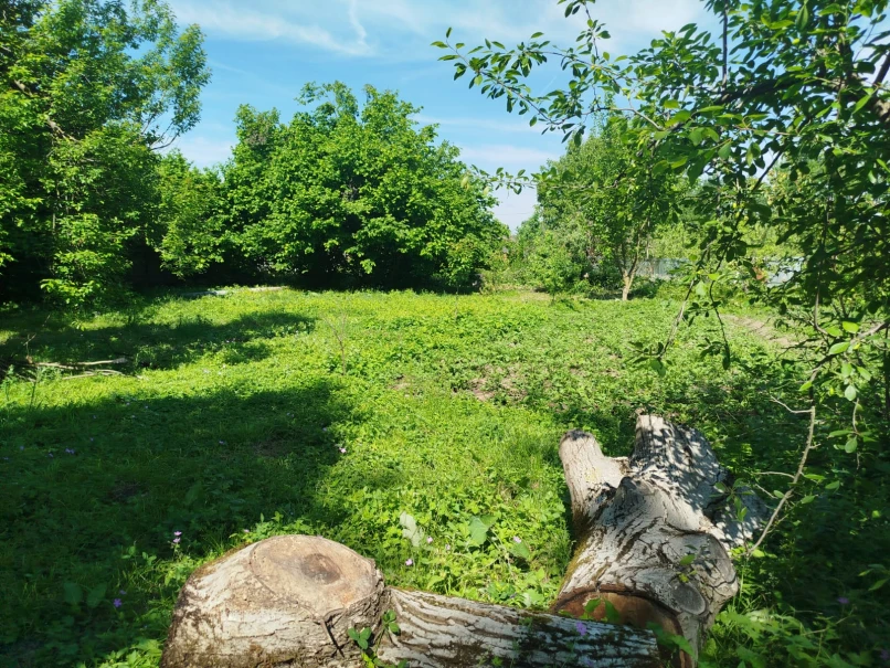 Satılır torpaq sahəsi 10 sot, İsmayıllı-1 Satılır torpaq sahəsi 10 sot, İsmayıllı-1