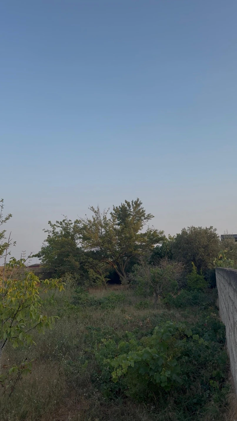 Satılır torpaq sahəsi 20 sot,  Sabunçu-1