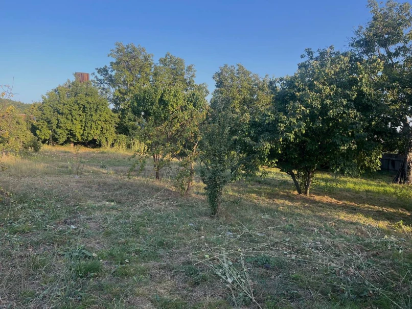 Satılır torpaq sahəsi 10 sot,  İsmayıllı-1