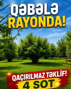 Satılır torpaq sahəsi 4 sot,  Qəbələ