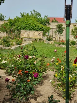 Satılır ev/villa 5 otaqlı 338 m², Sabunçu r.-24