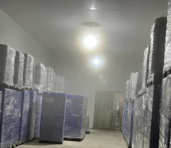 İcarə obyekt 500 m²,  Abşeron-2