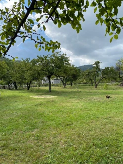 İcarə bağ evi 100 m²,  İsmayıllı-11