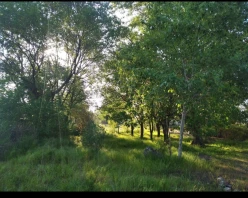 Хаджыгабул, 8-комнатное старое здание, 300 м² – продается