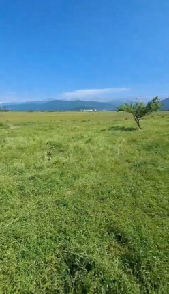 Satılır obyekt 600 m²,  İsmayıllı-7