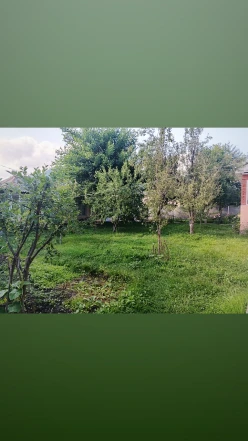 Satılır bağ evi 600 m²,  Qəbələ-6