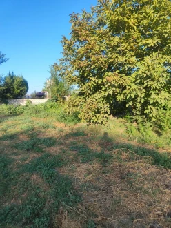 Satılır torpaq sahəsi 24 sot,  Beyləqan-11