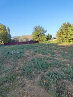 Satılır torpaq sahəsi 24 sot,  Beyləqan-13