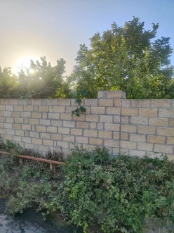 Satılır torpaq sahəsi 24 sot,  Beyləqan-5