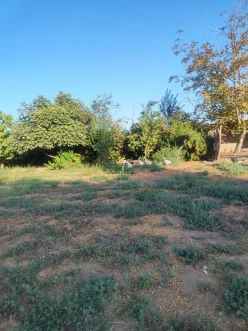 Satılır torpaq sahəsi 24 sot,  Beyləqan-2