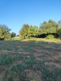 Satılır torpaq sahəsi 24 sot,  Beyləqan-12