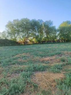 Satılır torpaq sahəsi 24 sot,  Beyləqan-8