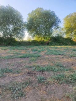 Satılır torpaq sahəsi 24 sot,  Beyləqan-14