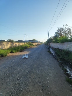 Satılır torpaq sahəsi 24 sot,  Beyləqan-3