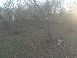 Satılır torpaq sahəsi 8 sot,  Qazax-9