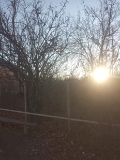 Satılır torpaq sahəsi 8 sot,  Qazax-2