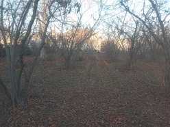 Satılır torpaq sahəsi 8 sot,  Qazax-5