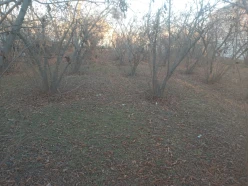 Satılır torpaq sahəsi 8 sot,  Qazax-4