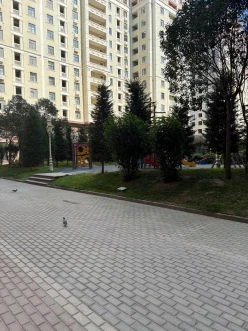 İcarə yeni tikili 2 otaqlı 70 m²,  Elmlər Akademiyası m.-19