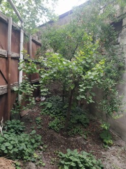 Satılır ev/villa 4 otaqlı 80 m²,  Bakıxanov-14