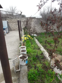 Satılır bağ evi 60 m², Buzovna q.-28