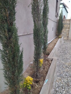 Satılır ev/villa 3 otaqlı 125 m²,  Novxanı-9