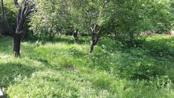 Satılır bağ evi 224 m²,  İsmayıllı-3