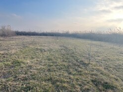 Satılır torpaq sahəsi 75 sot,  Göyçay-4