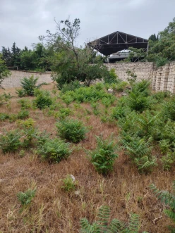 Satılır torpaq sahəsi 6 sot,  Neftçilər m.-4