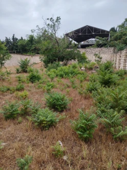 Satılır torpaq sahəsi 6 sot,  Neftçilər m.