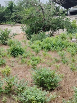 Satılır torpaq sahəsi 6 sot,  Neftçilər m.-3