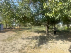 Satılır obyekt 460 m², Göyçay-5 Satılır obyekt 460 m², Göyçay-5