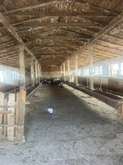 Satılır obyekt 460 m², Göyçay-10 Satılır obyekt 460 m², Göyçay-10