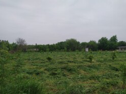 Satılır torpaq sahəsi 40 sot,  Tərtər-5